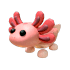 An Adopt Me Axolotl