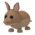 An Adopt Me Bandicoot