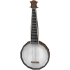 An Adopt Me Banjo