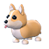 An Adopt Me Corgi