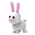 An Adopt Me Bunny