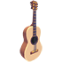 An Adopt Me Camper's Guitar