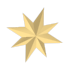 An Adopt Me Christmas Star Flying Disc