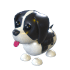 An Adopt Me Black Springer Spaniel