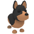 An Adopt Me Australian Kelpie