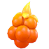 An Adopt Me Sparkling Blaze Berry