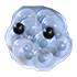An Adopt Me Frogspawn