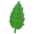 An Adopt Me Leaf