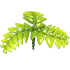 An Adopt Me Fern Propeller