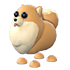 An Adopt Me Pomeranian