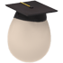 An Adopt Me Starter Egg