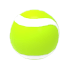 An Adopt Me Tennis Ball
