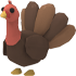 An Adopt Me Turkey