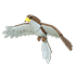 An Adopt Me Hawk
