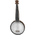 An Adopt Me Banjo