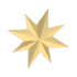 An Adopt Me Christmas Star Flying Disc
