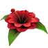 An Adopt Me Forgotten Flower