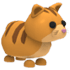 An Adopt Me Ginger Cat