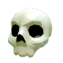 An Adopt Me Halloween White Skull Hat