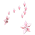 An Adopt Me Flower Aura