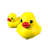 An Adopt Me Rubber Ducks