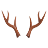 An Adopt Me Reindeer Antlers