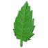An Adopt Me Leaf