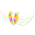An Adopt Me Magic Girl Wings