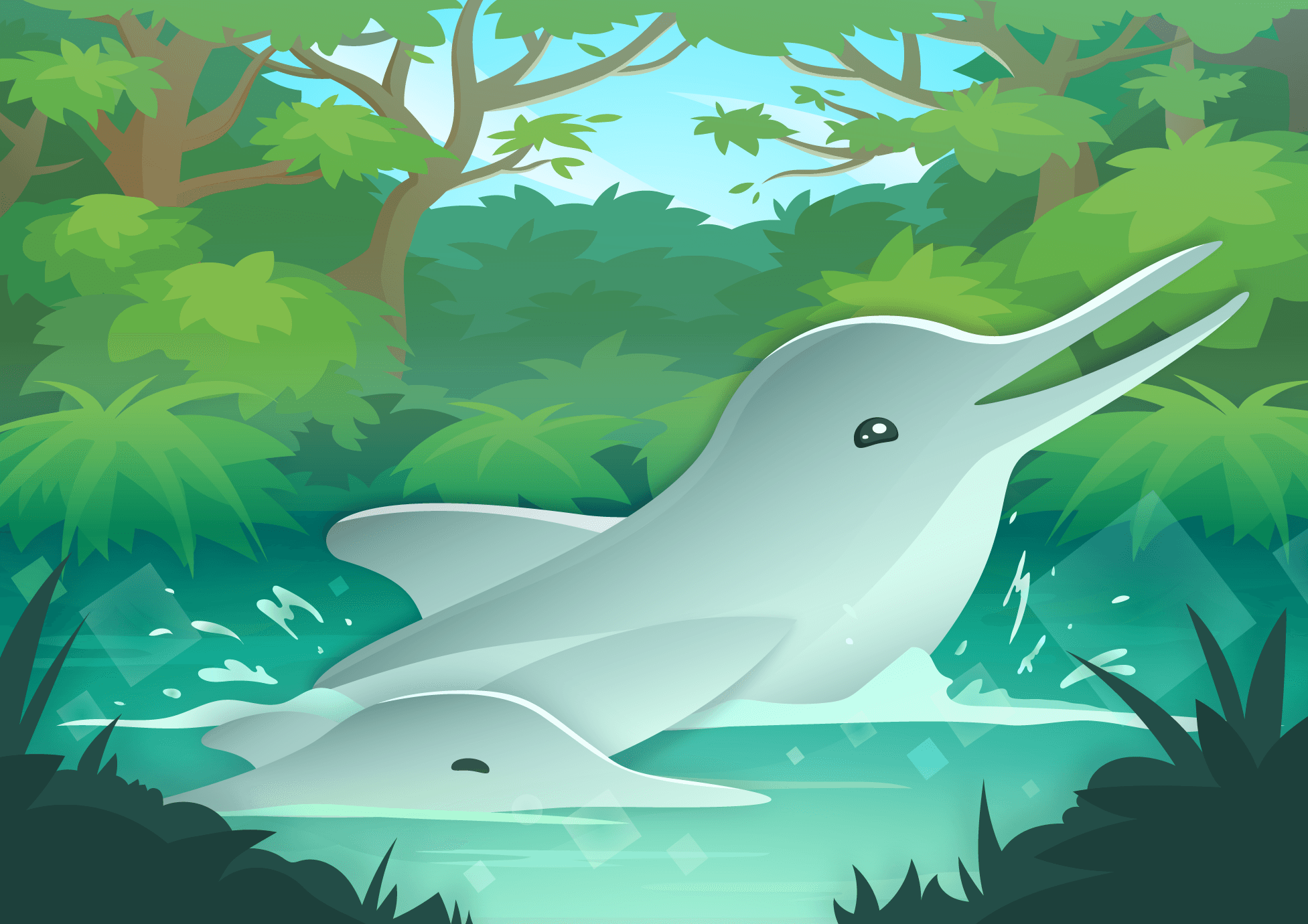 A Two Happy Dolphins Wallpaper wallpaper