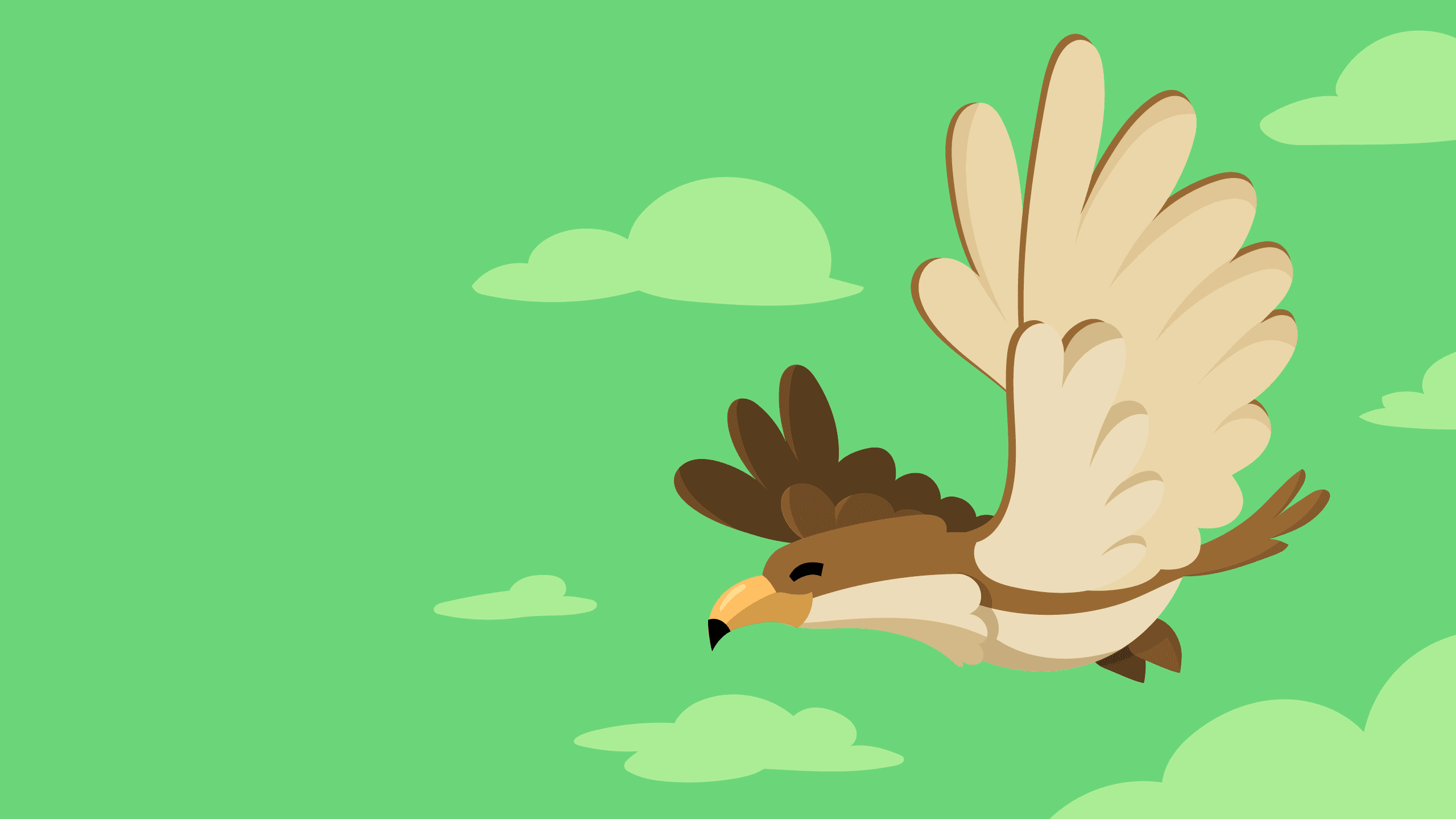 A Hawk Wallpaper wallpaper