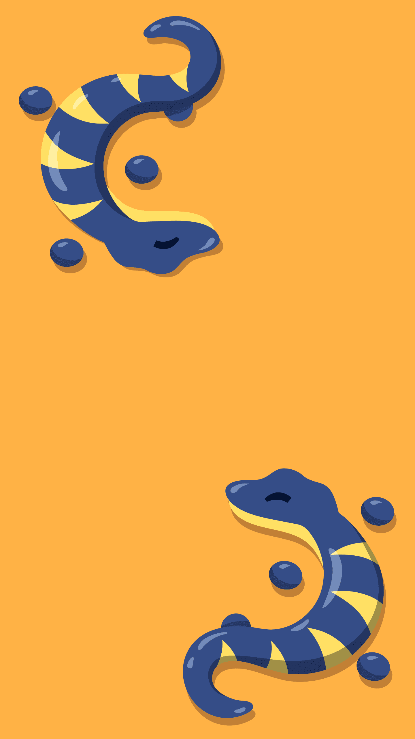 A Salamander Wallpaper  wallpaper