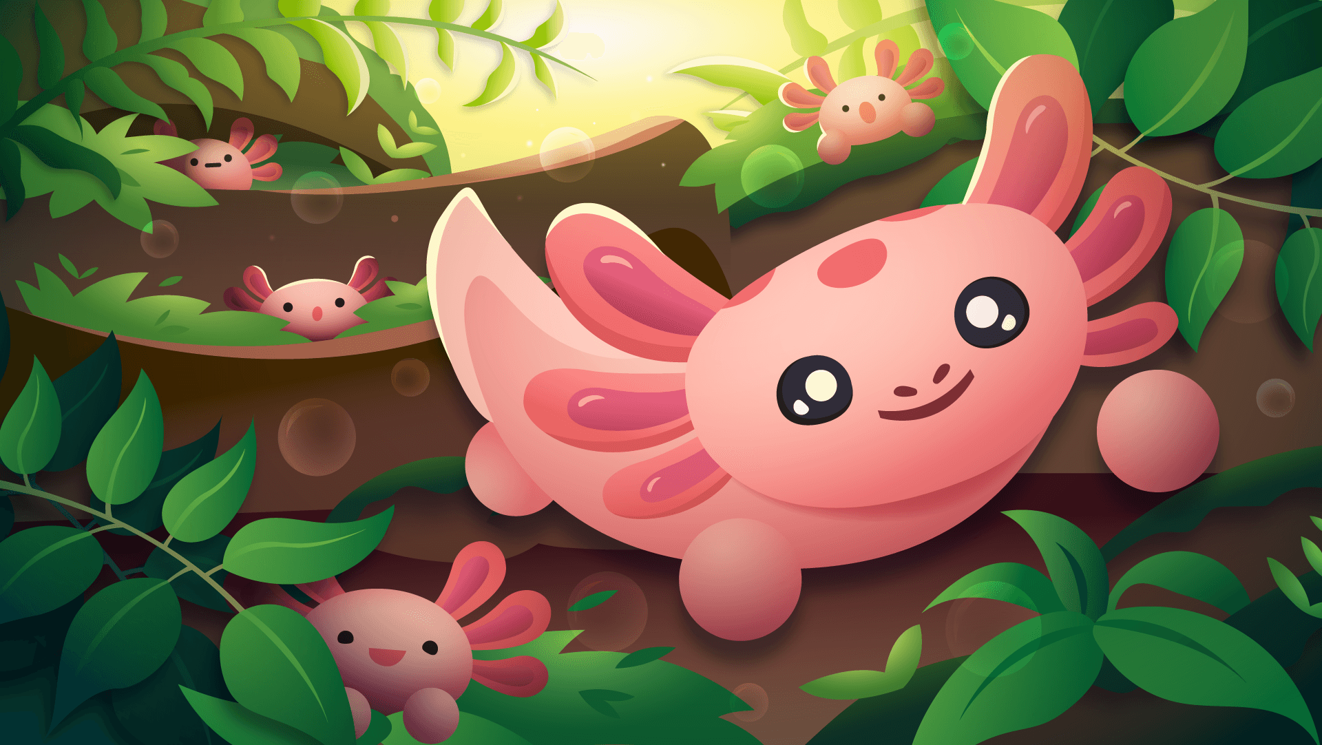 A Axolotl Wallpaper  wallpaper