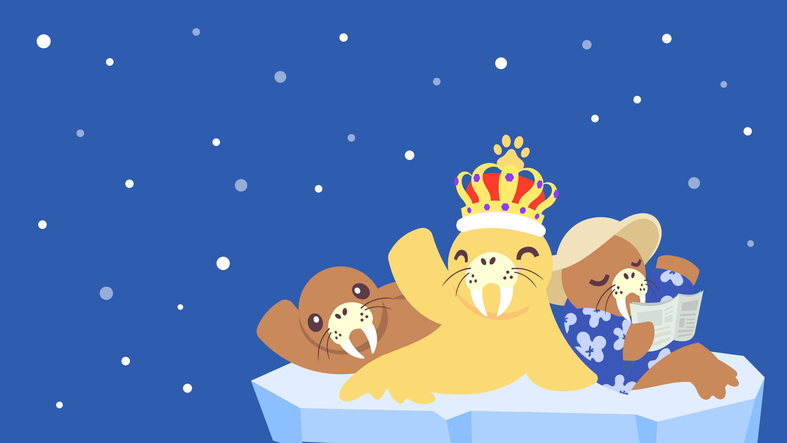 A Walrus Wallpaper wallpaper