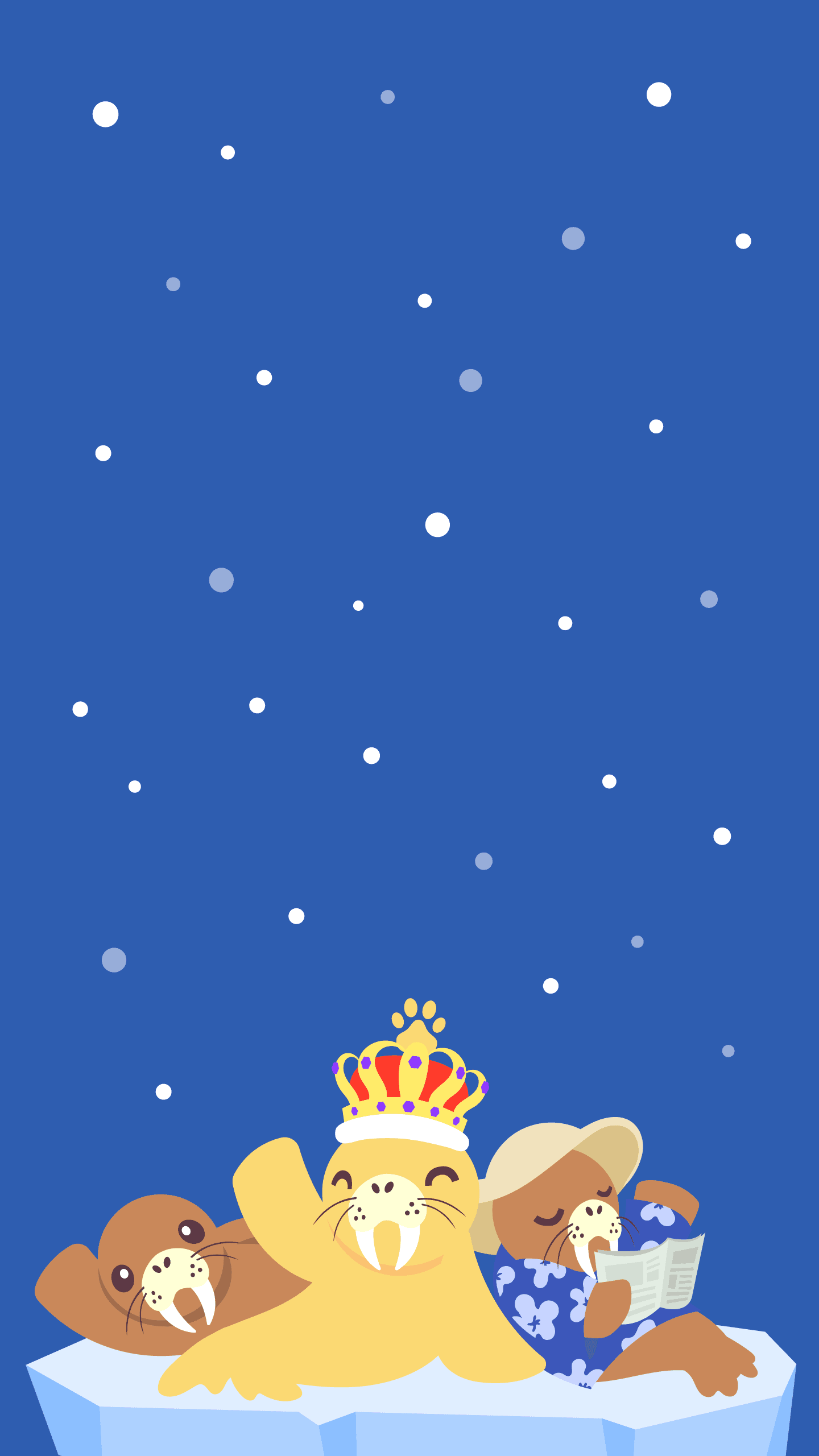 A Walrus Wallpaper wallpaper
